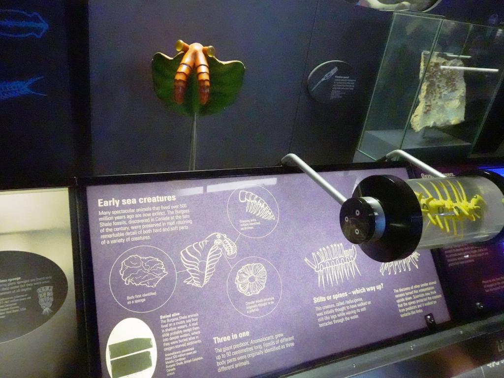 108 - 20230703 Natural History Museum SONY