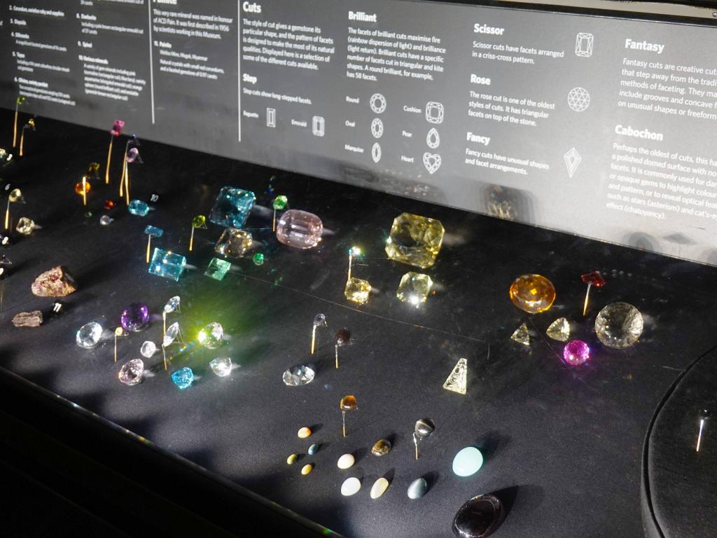 116 - 20230703 Natural History Museum SONY
