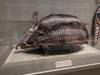 2355 - 20240411 San Antonio Museum of Art Google