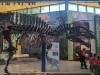 3304 - 20240412 Witte Museum Google