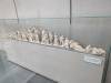 Album: 2024/05/02 - Athens Acropolis Museum