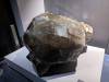 307 - 20241220 Gallerie De Geologie et de Mineralogie