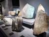 308 - 20241220 Gallerie De Geologie et de Mineralogie