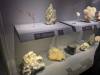 309 - 20241220 Gallerie De Geologie et de Mineralogie
