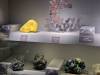 310 - 20241220 Gallerie De Geologie et de Mineralogie