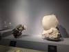 313 - 20241220 Gallerie De Geologie et de Mineralogie