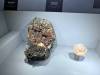 314 - 20241220 Gallerie De Geologie et de Mineralogie