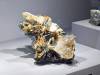 336 - 20241220 Gallerie De Geologie et de Mineralogie