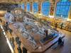 348 - 20241220 Gallerie de Paleontologie et de Anatomie Comparee
