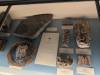 350 - 20241220 Gallerie de Paleontologie et de Anatomie Comparee