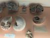 357 - 20241220 Gallerie de Paleontologie et de Anatomie Comparee