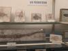 367 - 20241220 Gallerie de Paleontologie et de Anatomie Comparee