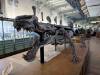 378 - 20241220 Gallerie de Paleontologie et de Anatomie Comparee