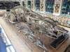 379 - 20241220 Gallerie de Paleontologie et de Anatomie Comparee