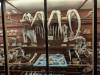 381 - 20241220 Gallerie de Paleontologie et de Anatomie Comparee