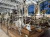 382 - 20241220 Gallerie de Paleontologie et de Anatomie Comparee