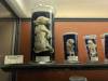 388 - 20241220 Gallerie de Paleontologie et de Anatomie Comparee