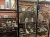 390 - 20241220 Gallerie de Paleontologie et de Anatomie Comparee