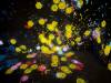 1673 - 20250412 Teamlab Borderless Mori Tokyo Google Pixel 9 Pro XL