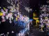 1675 - 20250412 Teamlab Borderless Mori Tokyo Google Pixel 9 Pro XL