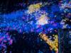 1676 - 20250412 Teamlab Borderless Mori Tokyo Google Pixel 9 Pro XL