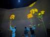 1678 - 20250412 Teamlab Borderless Mori Tokyo Google Pixel 9 Pro XL