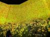 1680 - 20250412 Teamlab Borderless Mori Tokyo Google Pixel 9 Pro XL
