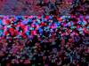 1682 - 20250412 Teamlab Borderless Mori Tokyo Google Pixel 9 Pro XL