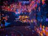 1687 - 20250412 Teamlab Borderless Mori Tokyo Google Pixel 9 Pro XL