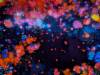 1688 - 20250412 Teamlab Borderless Mori Tokyo Google Pixel 9 Pro XL