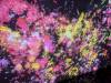 1690 - 20250412 Teamlab Borderless Mori Tokyo Google Pixel 9 Pro XL