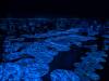 1691 - 20250412 Teamlab Borderless Mori Tokyo Google Pixel 9 Pro XL