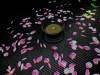1706 - 20250412 Teamlab Borderless Mori Tokyo Google Pixel 9 Pro XL