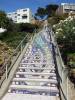 120 - 20190808 Spanish Steps Presidio Japanese Garden