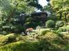 122 - 20190808 Spanish Steps Presidio Japanese Garden