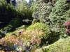 127 - 20190808 Spanish Steps Presidio Japanese Garden