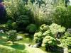 128 - 20190808 Spanish Steps Presidio Japanese Garden