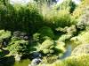 129 - 20190808 Spanish Steps Presidio Japanese Garden