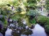 138 - 20190808 Spanish Steps Presidio Japanese Garden