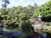 141 - 20190808 Spanish Steps Presidio Japanese Garden