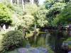 142 - 20190808 Spanish Steps Presidio Japanese Garden