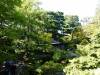 148 - 20190808 Spanish Steps Presidio Japanese Garden