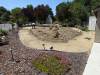 103 - 20150901 New Low Water Plants Setup