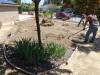105 - 20150901 New Low Water Plants Setup