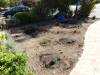 114 - 20150901 New Low Water Plants Setup
