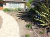 115 - 20150901 New Low Water Plants Setup