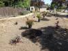 119 - 20150901 New Low Water Plants Setup