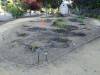 124 - 20150901 New Low Water Plants Setup
