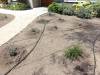 127 - 20150901 New Low Water Plants Setup