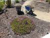 128 - 20150901 New Low Water Plants Setup